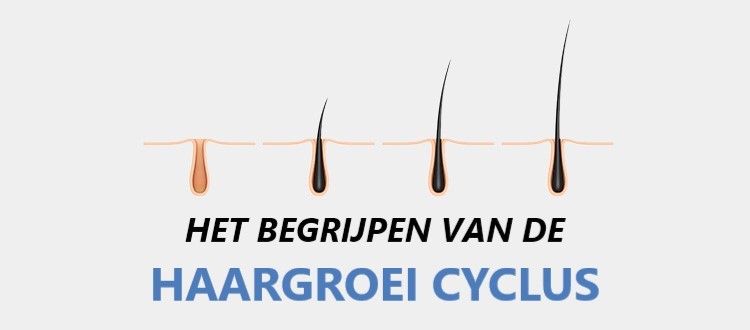 Het begrijpen van de haargroei cyclus